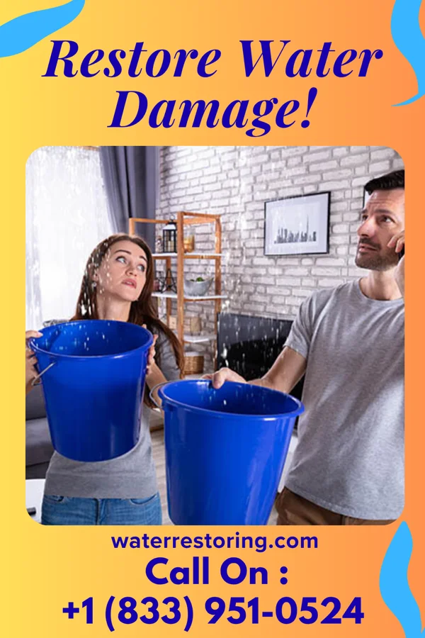 water restoration Pinnacle Water Damage & Associates Naranja